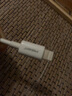 品勝（PISEN）蘋果快充數(shù)據(jù)線手機(jī)充電線器iPhone14/13/12pro max/11/X手機(jī)平板iPad加長USB接口lightning電源線 0.2米白色短線 推薦充電寶使用 蘋果5-14通 曬單實拍圖