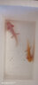 六角恐龍魚美西螈蠑螈活體寵物魚好養(yǎng)的冷水觀賞魚耐活娃娃魚淡水 【5-6CM】粉龍+金龍 共2條 曬單實(shí)拍圖