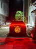 龜牌（Turtle Wax）洗車(chē)液水蠟強力去污白車(chē)黑車(chē)清潔汽車(chē)打蠟上光專(zhuān)用泡沫清洗劑套裝 硬殼1.25L+噴壺【贈】毛巾+海綿 曬單實(shí)拍圖