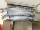 鮮漁翁 新鮮活凍秋刀魚(yú)鮮活冷凍500g 海鮮活深海日式燒烤食材 精品秋刀魚(yú) 3斤 曬單實(shí)拍圖