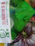壽禾 結(jié)球生菜種子包心園圓生菜球生菜西餐沙拉醬西生菜四季青疏菜籽 抗病結(jié)球生菜種子 10g/抗病性強 曬單實拍圖