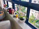 正想高仿真蝴蝶蘭花藝套裝假花絹花裝飾花 客廳餐桌仿真綠植盆栽擺件 舞月之香-白色 曬單實拍圖