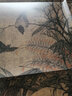 東方畫(huà)譜·宋代花鳥(niǎo)篇·寫(xiě)生珍禽圖  山鷓棘雀圖 曬單實(shí)拍圖