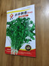 蘇瑞耐寒耐熱香菜種子大葉芫荽陽臺四季香菜種菜種籽種籽農(nóng)家蔬菜種孑 四季香菜【5克】 曬單實拍圖