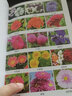 200種花卉繁育與養護 花卉種植栽培技術(shù)書(shū) 花卉園藝智慧書(shū)籍大全 室內養花植物圖鑒種植栽培技術(shù)入門(mén) 曬單實(shí)拍圖