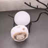 琪特禮物送女友太空艙暖手寶充電寶暖寶寶電熱寶女生可愛隨身 超萌倉(cāng)鼠款 曬單實(shí)拍圖