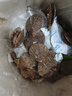魚(yú)姐海成 青島扇貝鮮活新鮮帶殼紅扇貝海鮮水產(chǎn)貝類(lèi)青島當天現捕500g袋裝 曬單實(shí)拍圖