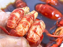 珍仙滋正宗花雕熟醉小龍蝦速食花雕冰鎮現做熟食新鮮整蝦蒜泥麻辣大龍蝦 【花雕冰鎮龍蝦】700g*3盒 曬單實(shí)拍圖