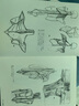 理解人體形態(tài) 180度裸背裝 實(shí)用人像素描解剖標準藝用速寫(xiě)人身體結構 藝術(shù)繪畫(huà)素描書(shū)籍 后浪官方正版 理解人體形態(tài) 180度裸背裝 曬單實(shí)拍圖