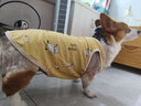 CHONG TA PET狗狗衣服夏天薄款中大型犬背心柯基金毛邊牧薩摩耶寵物大狗衣服 黃色 3XL（約26到32斤） 曬單實(shí)拍圖