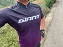 GIANT捷安特RACE DAY系列男式短袖騎行服舒適透氣山地公路自行車(chē)車(chē)衣 桑椹紫 XL 曬單實(shí)拍圖