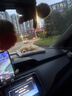 齊選汽車(chē)擺件動(dòng)物公仔活性炭仿真狗車(chē)載竹炭中控臺裝飾除異味生日禮物 【拉布拉多】200納米礦晶活性炭 曬單實(shí)拍圖