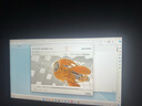 ThinkPad P15V P16V 可選CAD制圖移動工作站 聯(lián)想大屏E高性能酷睿i7標(biāo)壓圖形工作站設(shè)計(jì)師游戲筆記本電腦XG 酷睿i7-13620H 雙通道運(yùn)行V15/X系 32G/24G雙通道運(yùn)行 曬單實(shí)拍圖
