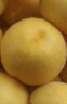 京愿 新鲜水蜜桃 毛桃脆甜桃子 红不软 当季孕妇生鲜水果 5斤装(净重4.5-5斤) 实拍图