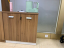 蘭冉 文件柜木質(zhì)矮柜辦公柜資料柜儲物柜茶水柜 兩門(mén)矮柜【款式一】 曬單實(shí)拍圖