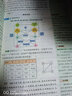 新教材2026版王后雄重難點(diǎn)手冊高一數(shù)學(xué)物理化學(xué)生物地理歷史必修一1人教版高中同步解讀手冊 【4本必修一】數(shù)學(xué)+物理+化學(xué)+生物 曬單實拍圖