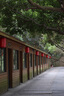 佳能（Canon）EOS 200D 100D 200D II 迷你單反高清旅游二手單反相機 200D黑色+永諾50mmF1.8二代小痰盂套機 95新 曬單實拍圖