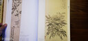 經(jīng)典全集 唐寅畫(huà)集 8開(kāi)中國畫(huà)臨摹畫(huà)冊書(shū)籍寫(xiě)意水墨國畫(huà)花鳥(niǎo)山水人物技法教材高清臨本冊頁(yè)唐伯虎山石樹(shù)木名作賞析鑒賞 楊建飛主編 曬單實(shí)拍圖