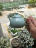 尋汝陳全貴大師汝窯茶壺泡茶單壺陶瓷開(kāi)片天青色功夫茶具高檔禮盒釉 天青汝窯文旦壺- 220ml 曬單實(shí)拍圖