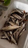 勁炫魚(yú)竿手竿長(cháng)節竿釣魚(yú)竿臺釣竿套裝超硬超輕19調4.5米6.3米鯉魚(yú) 編織把3.6米送線(xiàn)組勾漂竿稍 曬單實(shí)拍圖