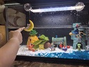 米家（MIJIA）智能生態(tài)魚缸定時(shí)喂食智能魚缸+畫法幾何增氧泵套裝 曬單實(shí)拍圖