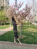 瑪麗珍小皮鞋女淑女風(fēng)配裙子單鞋2025年新款仙女風(fēng)圓頭淺口單鞋女 卡其色 37 曬單實(shí)拍圖