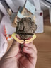 Team GreenTeamGreen野生模型動(dòng)物3D立體紙拼圖6歲以上禮物手工 Eugy-變色龍 曬單實(shí)拍圖
