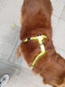 TRUELOVE狗狗牽引繩遛狗繩子牽引帶狗鏈子小中型犬牽狗繩尼龍反光舒適把手 綠色 L-長140cm，寬2.5cm 曬單實拍圖