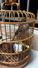 開元開元牌八哥鳥食飼料鷯哥鳥糧八鴿專用營養(yǎng)鳥食燎哥糧食物鳥料5斤 曬單實拍圖