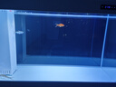 德克（D&A）龍魚缸客廳立式智能生態(tài)魚缸一體缸自循環(huán)免換水辦公室底濾水族箱 肌膚白 120x50x156cm 曬單實拍圖