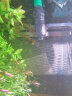 EHEIM德国伊罕水族箱鱼缸增氧器 氧气扩散器接水泵过滤器过滤桶出水口喷氧头打氧机接森森创星德彩等 4004651接12/16mm和16/22mm水管 实拍图