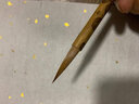 徽昕齋二月花純狼毫毛筆行草毛筆狼毫專業(yè)二王行書瘦金體用筆國(guó)畫勾線 大師手作歐體楷書中楷小楷抄經(jīng) 大號(hào)【鋒長(zhǎng)3.5cm】寫4-7cm字體 曬單實(shí)拍圖