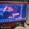 森森（SUNSUN）魚(yú)缸大型底過(guò)濾龍魚(yú)缸生態(tài)水族箱超白玻璃客廳龍魚(yú)缸 剛果柚木 1.5米長(zhǎng)x41.5寬x缸高80柜高74超白靠墻款 曬單實(shí)拍圖