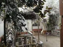 融雪劑庭院陽(yáng)臺環(huán)保除雪劑家用小區道路化雪除冰劑25kg顆粒氯化鈣 5斤桶裝【高端庭院融雪劑】 曬單實(shí)拍圖
