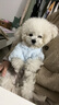 貝初眾狗狗衣服小型犬寵物貓衣服秋冬保暖幼犬小狗衣服比熊泰迪博美衣服 加厚羊羔絨-帶牽引環(huán) M 【適合5-8斤寵物】 卡通系毛絨刺繡兩腳裝 曬單實(shí)拍圖