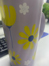 GUOZI果茲左茗紳士杯 GZ-S12辦公室泡茶水杯可茶水分離便捷商務(wù)簡(jiǎn)約大氣 500ml 曬單實(shí)拍圖