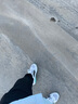 耐克（NIKE）男鞋跑步鞋 25秋季新款運(yùn)動鞋耐磨登山休閑鞋子男網(wǎng)面透氣慢跑鞋 【透氣減震】革命者8-高級灰 39 (245mm) 曬單實(shí)拍圖