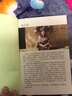 【自選】四年級(jí)課外閱讀書目  哈利波特與魔法石青鳥秘密花園男生賈里極地特快草原上的小木屋總有一 天會(huì)長大獾的禮物綠山墻的安妮繪本等小學(xué)生課外書 全2冊(cè) 男生賈里全傳+女生賈梅全傳 曬單實(shí)拍圖