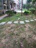 數(shù)學(xué)和數(shù)學(xué)家的故事（第4冊）偉大的華人數(shù)學(xué)家 盈不足數(shù)、鏡反數(shù)、猜數(shù)游戲和數(shù)字“黑洞”等數(shù)學(xué)內(nèi)容 曬單實(shí)拍圖