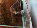 漁師傅魚(yú)缸水泵潛水泵抽水機家用小型過(guò)濾器循環(huán)噴泉低音魚(yú)池假山 AT302S 曬單實(shí)拍圖