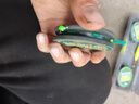 免調漂立漂雙鉤線組釣魚線套裝全套綁好成品臺釣主線漁具正品線組 2.7米 -4卷裝【送2支漂+線盒】 1.5號主線+1.2號子線+5號金海夕 曬單實拍圖