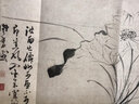 明陳淳繪 墨筆花卉圖 歷代名家繪畫(huà) 折頁(yè)花鳥(niǎo)長(cháng)卷 安徽美術(shù)出版社 曬單實(shí)拍圖