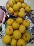 鮮姿遼寧南國梨南果梨香水梨醉梨酒香梨禮盒東北特產(chǎn)水果 8.5-9斤大果 暢享裝 曬單實(shí)拍圖
