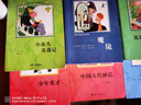 整本書分級大閱讀課程叢書 贈閱讀手冊 孤獨(dú)的小螃蟹 魔鏡 小布頭奇遇記 米粒與糖巫婆 二年級上冊必讀課外書正版推薦快樂讀書吧 二年級上冊 4本套裝 曬單實(shí)拍圖