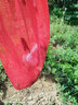 鑫科陽(yáng)農(nóng)用殺蟲(chóng)燈滅蟲(chóng)燈果園戶(hù)外防水茶園自動(dòng)光控雨控頻振式黑光誘蟲(chóng)燈 交流電40W大型雙層網(wǎng) 增強(qiáng)款 曬單實(shí)拍圖