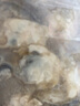 魚(yú)姐海成 青島生蠔肉鮮活當天現剝新鮮生蠔肉牡蠣海鮮水產(chǎn)貝類(lèi)2斤袋裝 曬單實(shí)拍圖