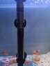 森森（SUNSUN）魚(yú)缸水族箱 水晶可調加熱棒恒溫JRB系列防爆石英玻璃加熱器溫控器 JRB230 -300W 曬單實(shí)拍圖