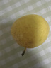 夢宛怡遼寧鞍山特產(chǎn)南果梨東北當(dāng)季酒香水梨子現(xiàn)摘新鮮酥脆南國梨水果 帶箱5斤特大果約20-24粒 精品果 曬單實拍圖