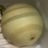 蔬農(nóng)聯(lián)玉菇甜瓜冰淇淋香瓜甜瓜當季新鮮水果 現(xiàn)摘現(xiàn)發(fā)禮盒 帶箱8斤（3-5個裝） 曬單實拍圖