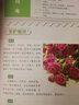 家庭四季養花一點(diǎn)通 養花書(shū)籍 養花基礎知識 詳解養花的技巧 花卉的栽培管理 花卉裝飾與應用 四季養花 曬單實(shí)拍圖